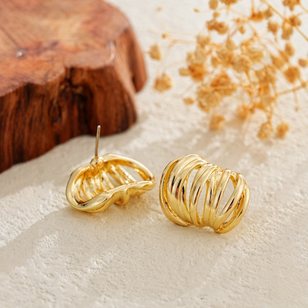 Premium Ear Loops With Niche Design And Metal Earrings