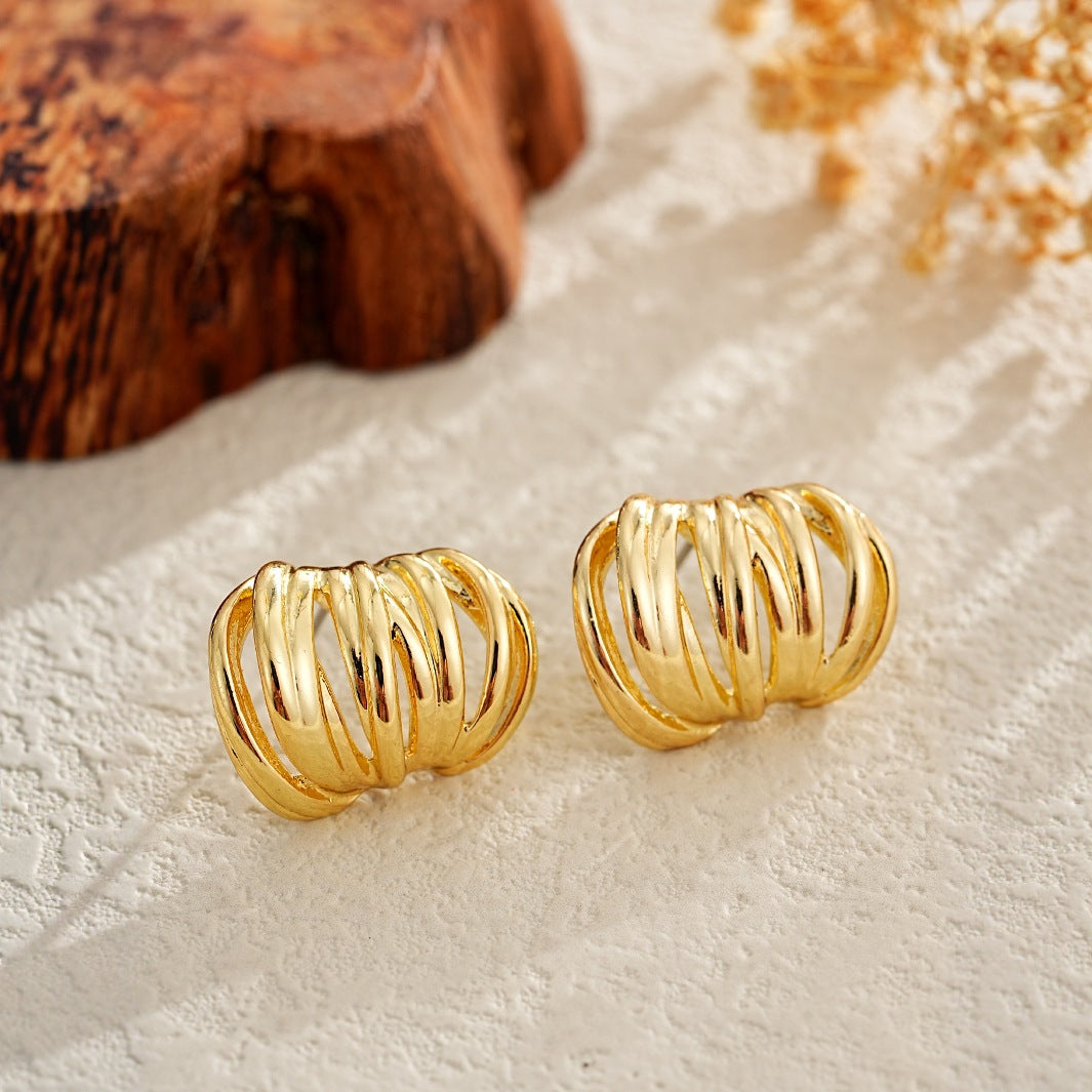 Premium Ear Loops With Niche Design And Metal Earrings