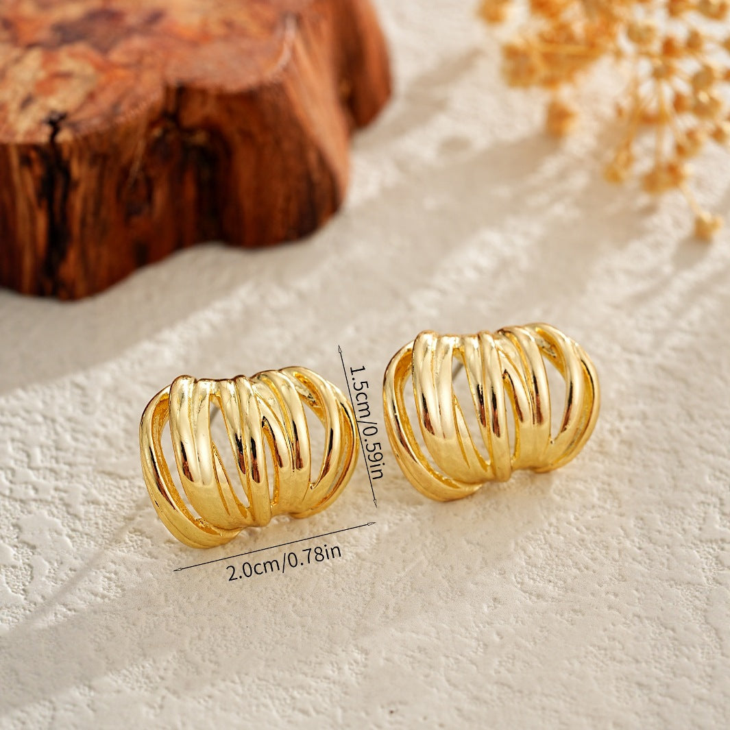 Premium Ear Loops With Niche Design And Metal Earrings