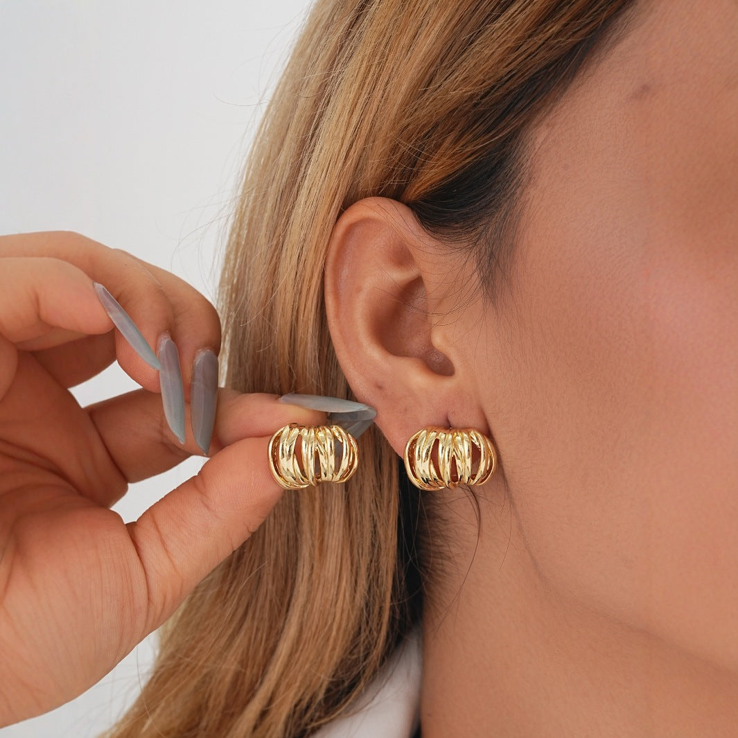 Premium Ear Loops With Niche Design And Metal Earrings